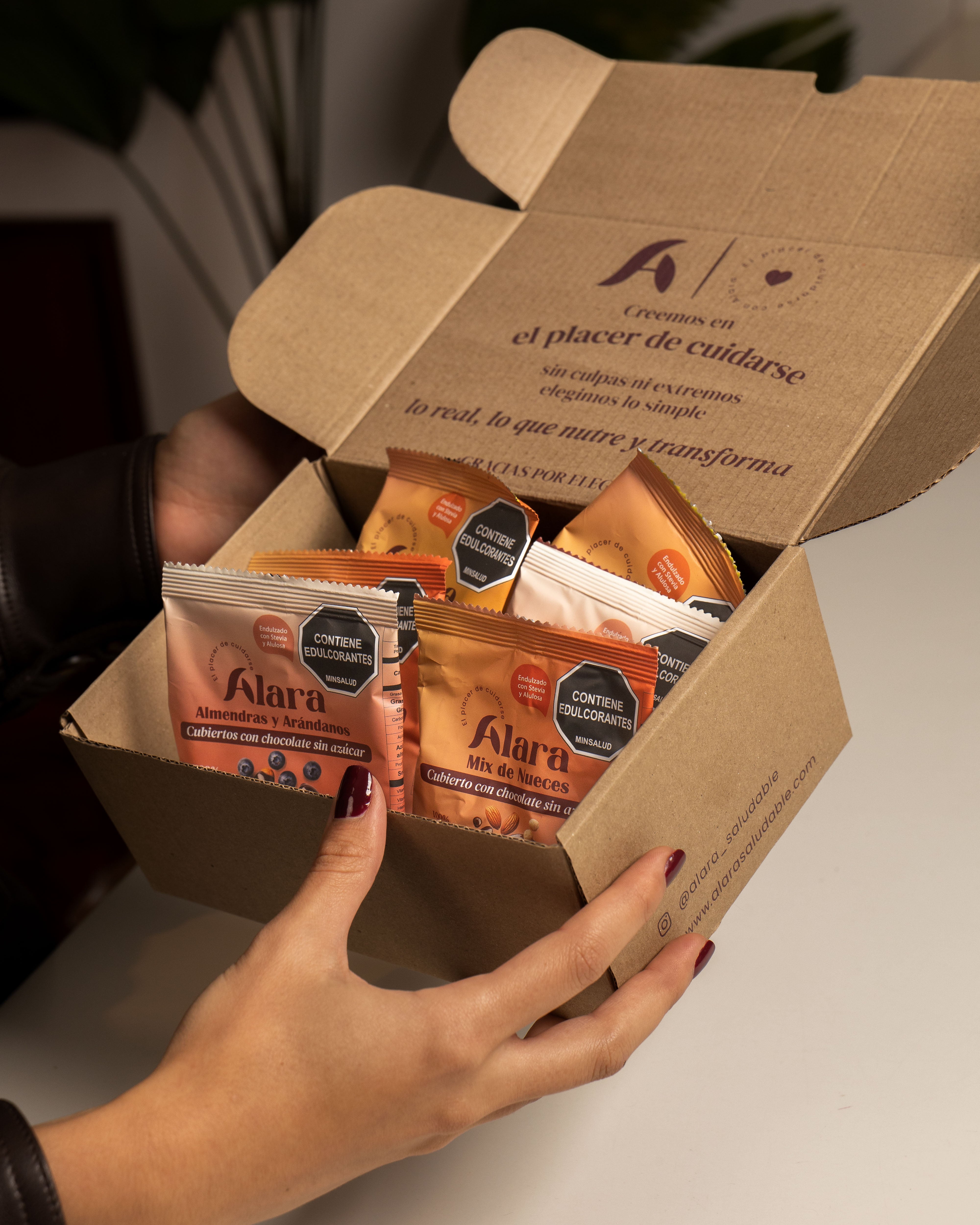 Mix de Snacks Saludables y Variados x 6 | Alara Saludable